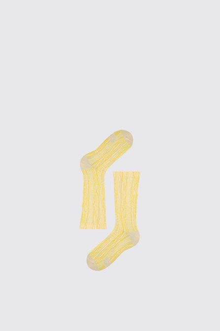 Design Dripo Sox Multicoloured Unisex Socks Camper
