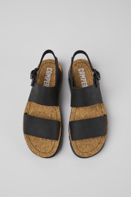 Camper Design Oruga